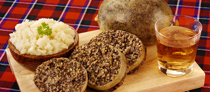 Skottsk haggis i Skottland. 